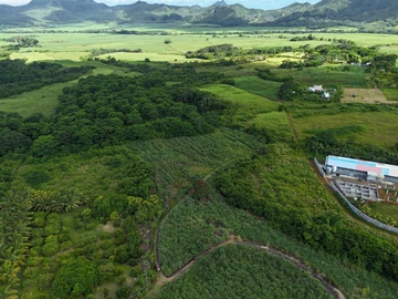 Terrain Agricole