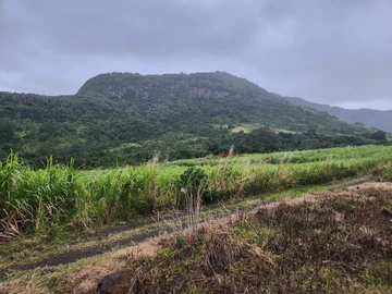 For sale -110 perches of agricultural land at Rs 30,000/ perche