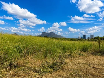 Agricultural Land