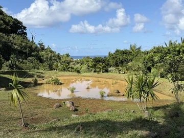 Agricultural Land