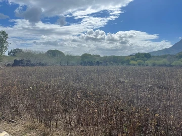 Residential Land