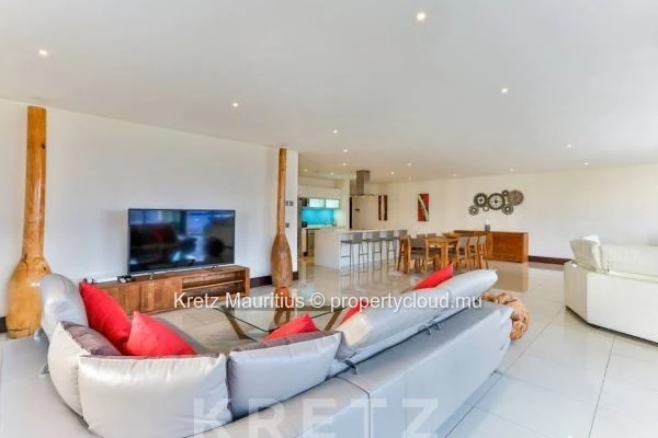 Luxury furnished apartment with rooftop pool