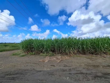Agricultural Land