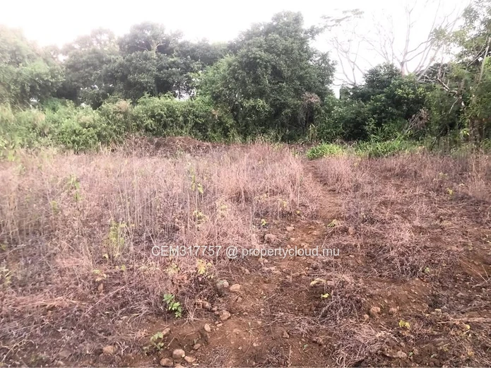 6.43 Perches Residential Land for Sale – La Flora, Grand Bois 