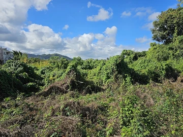 Terrain Résidentiel