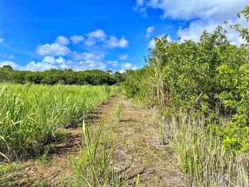 Prime Land for Sale at Trianon, 2 mins from Ebene Cybercity