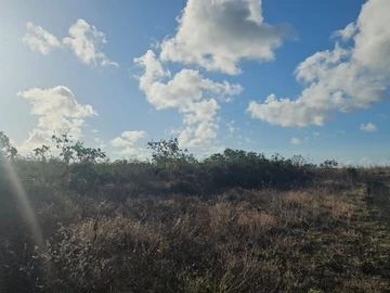 Residential Land