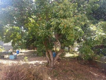Residential Land