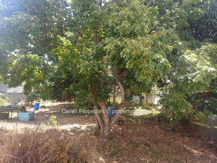 RARE OPPORTUNITY - Residential Land for Sale - Farquhar Street, Rose Hill, close to Beau Bassin and 5 mins to main road