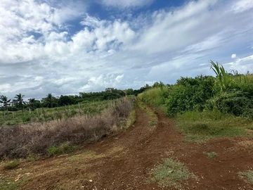 Agricultural land for sale