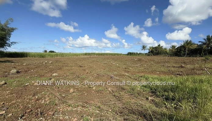Terrain agricole exceptionnel à vendre – Deux Bras, île Maurice | 4 693 m²