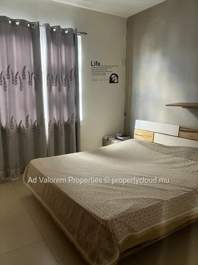 Coromandel-Maison moderne à vendre