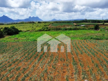 Agricultural Land