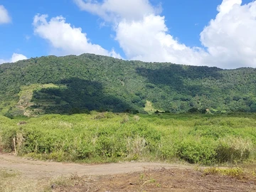 Agricultural Land