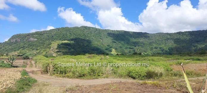 Terrain agricoles à vendre – Clemencia (Mandat exclusif)