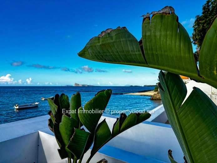 Splendid Villa in Secure Residence with Direct Sea Access at Pointe aux Canonniers 