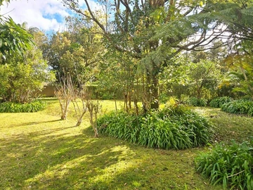 Commercial Land
