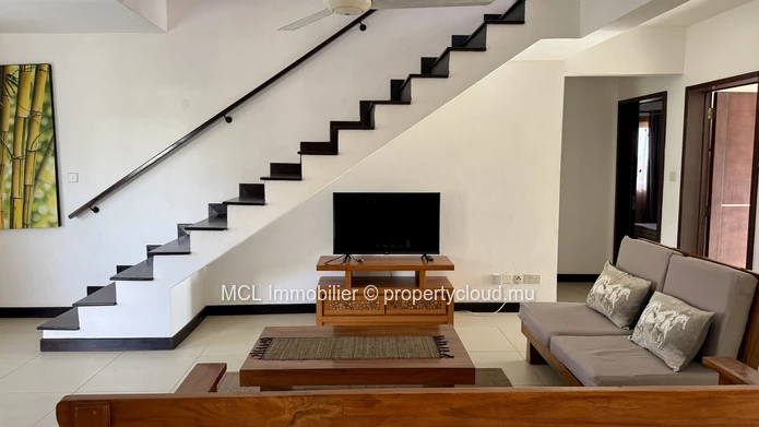 Penthouse de 3 chambres à Chemin 20 pieds