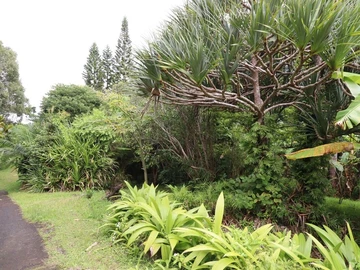 Commercial Land
