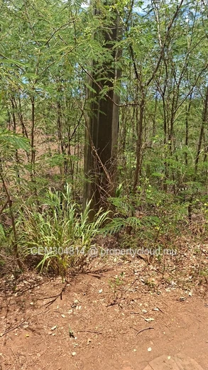 Grand Terrain Résidentiel à Vendre – Albion  50 Arpents 