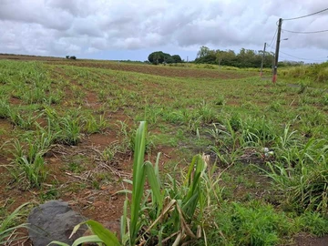 12,400 m² agricultural land