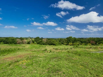 Residential Land