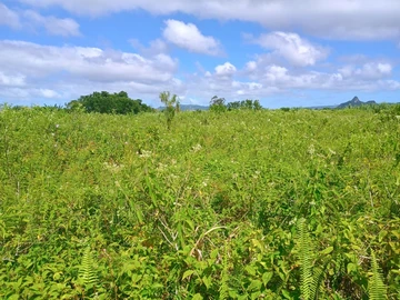 Terrain Agricole
