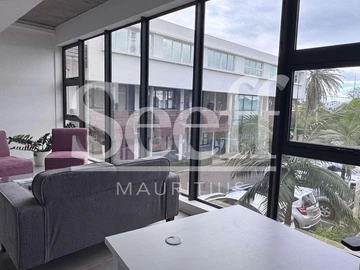 Immobilier Commerciaux