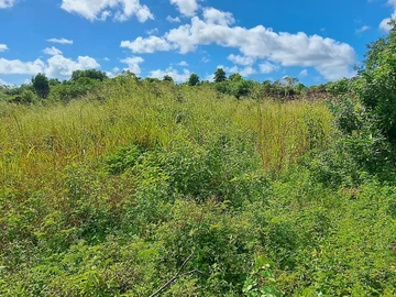 Agricultural Land For Sale In Quartier Militaire
