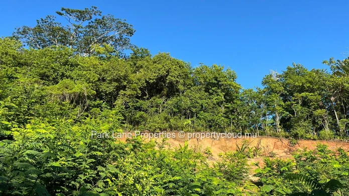 Agricultural plot for sale in Chamarel