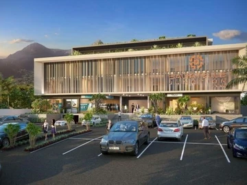 Immobilier Commerciaux