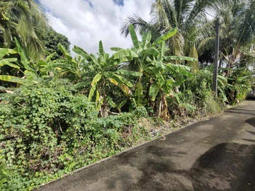 Residential Land