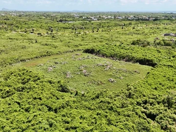 Agricultural Land