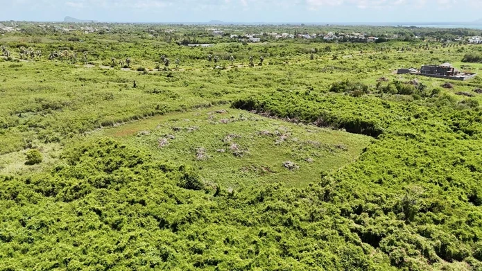 Terrain agricole de 4 500 m² à vendre à Saint Antoine