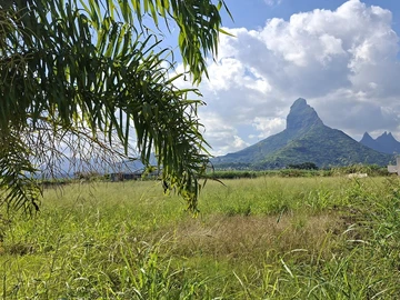Residential Land