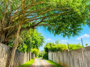 Residential Land