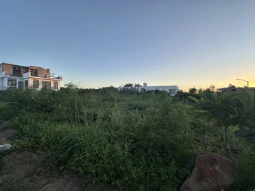 Terrain