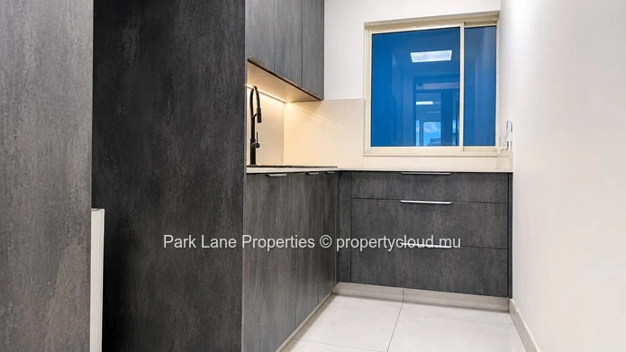 445 m² Office Space for Rent in Caudan | Multi-Unit Commercial Workspace
