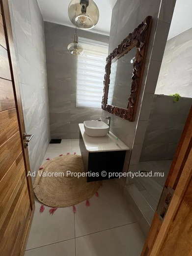 Maison à Vendre à Albion – Vue Mer depuis le Rooftop | Entièrement Meublée