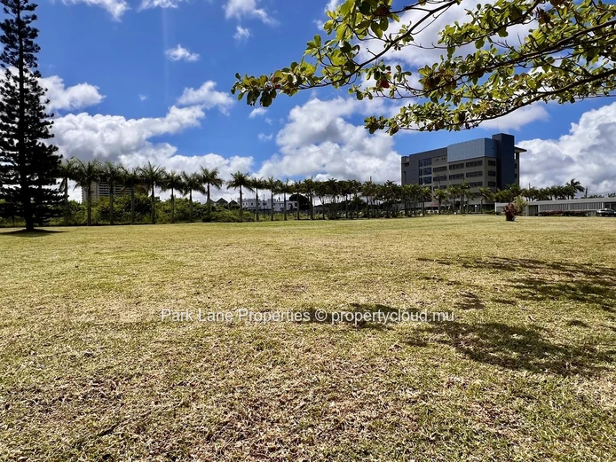 Your perfect 17 m² office: Nature, comfort & convenience in Phoenix