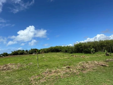 Land