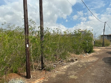 Residential Land