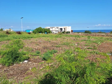 Residential Land