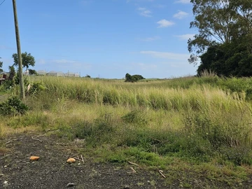Agricultural Land