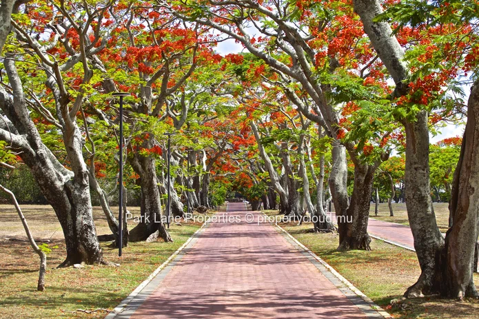 Mont Choisy La Réserve – Timeless elegance in a tropical haven