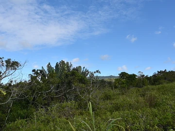 Terrain Agricole
