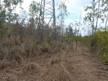 Residential Land