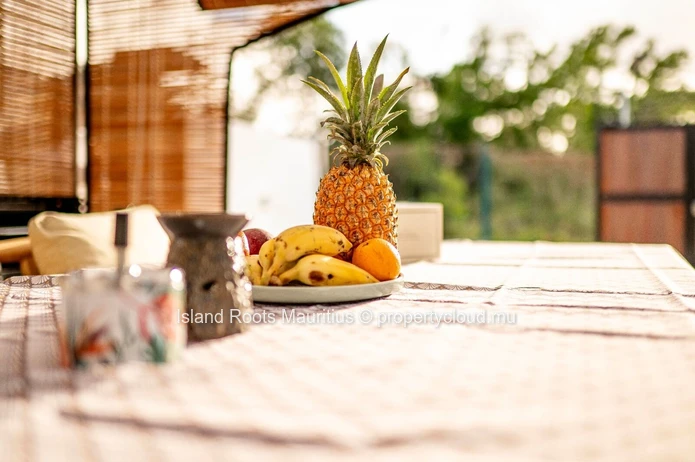 Oustanding villa in rent in Pereybere