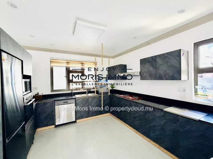 Modern villa for rent in Roches Noires