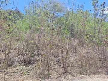 Residential Land